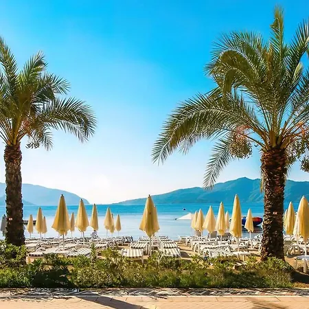 Aurasia Design 3* 马尔马里斯